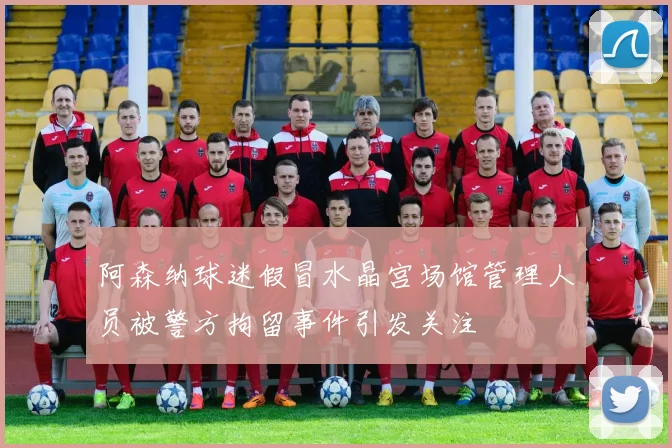 阿森纳球迷假冒水晶宫场馆管理人员被警方拘留事件引发关注